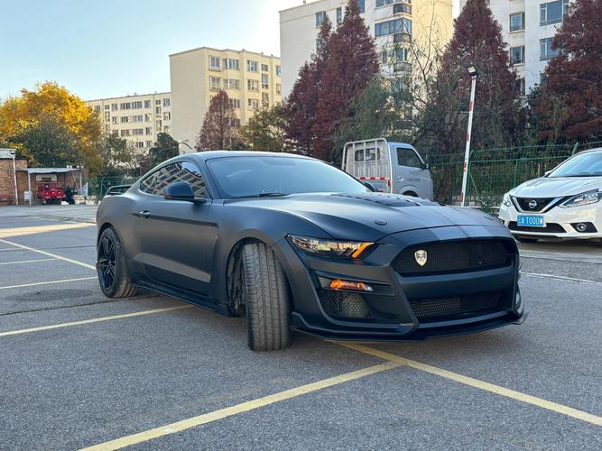 福特野马黑武士多少钱(福特野马黑武士图片壁纸)