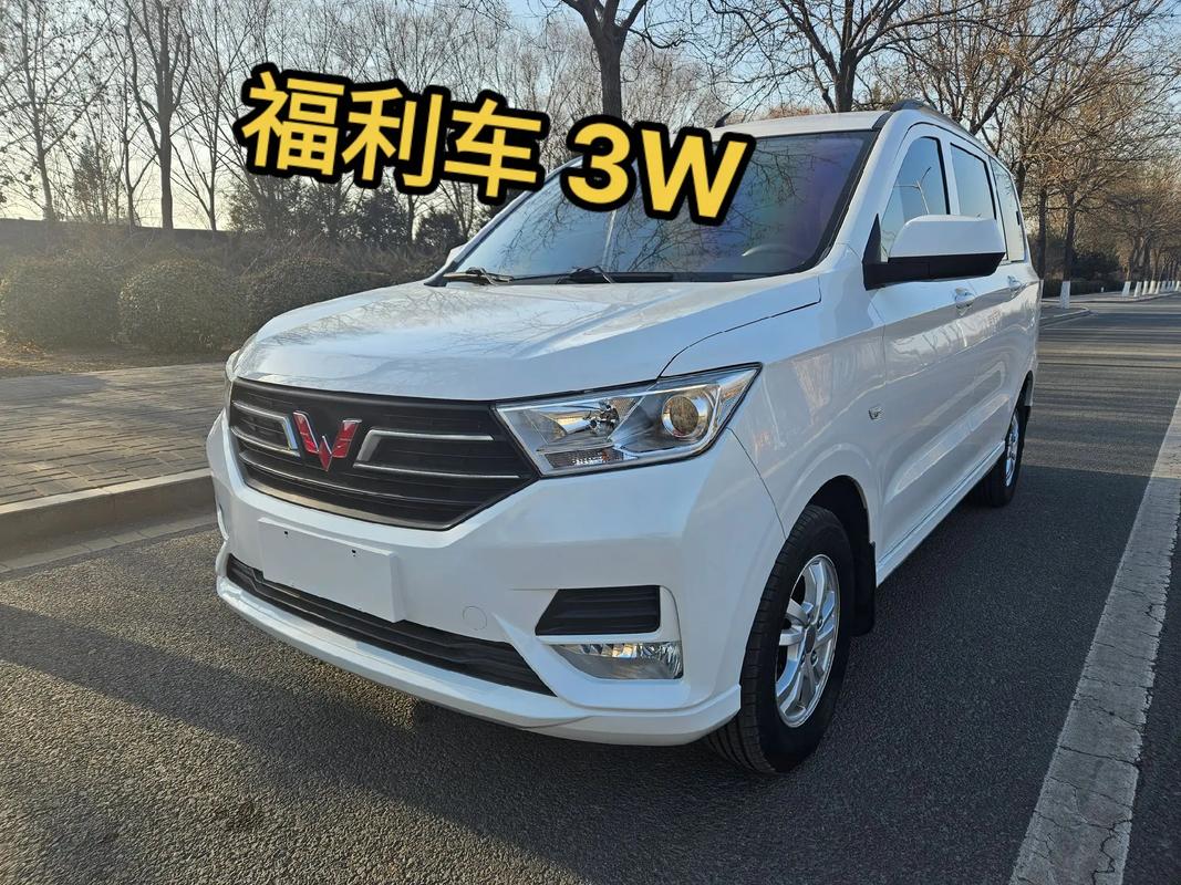 公认最省油最耐开的七座(省油耐用的7座车)