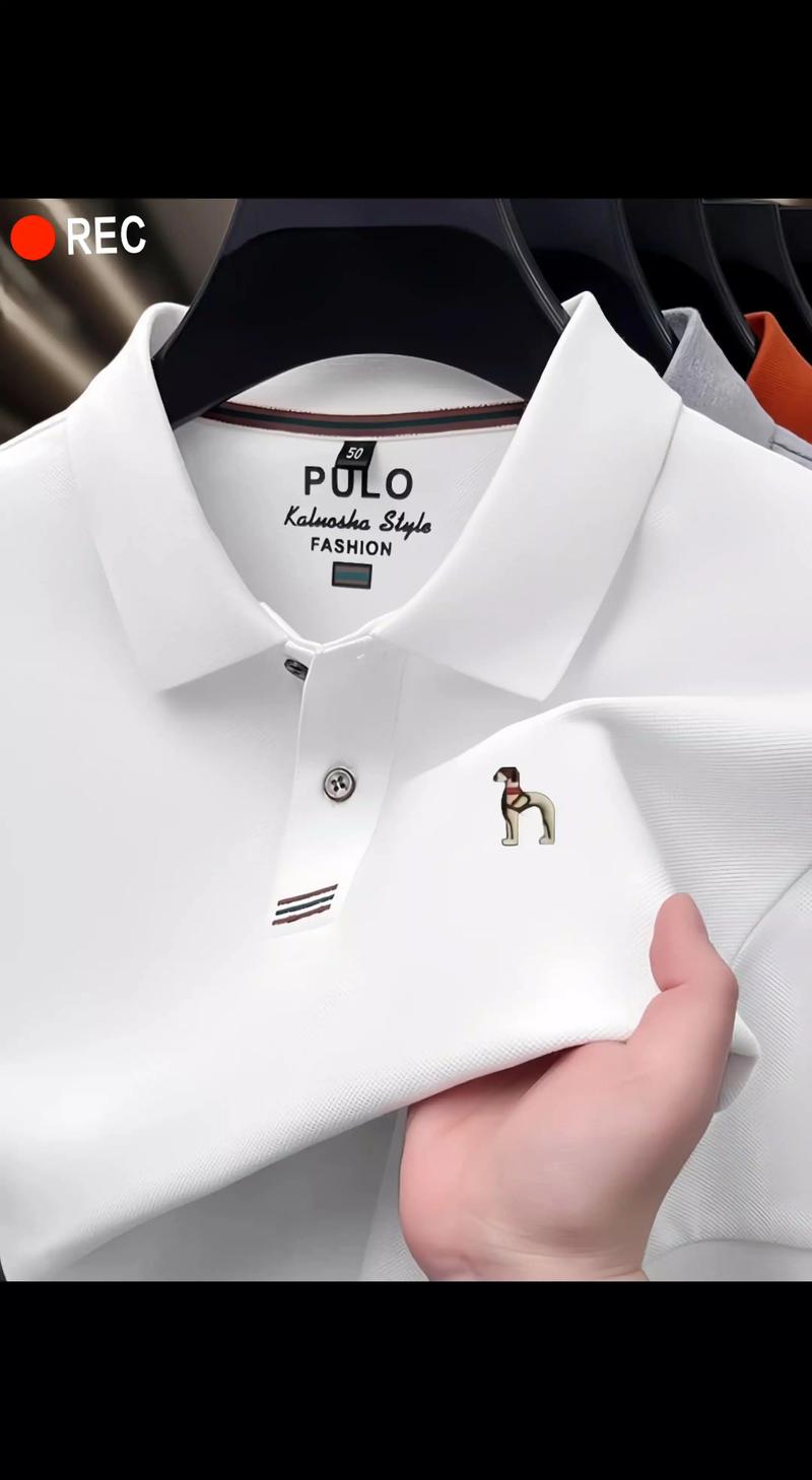 polo是什么品牌(POLO是什么品牌)