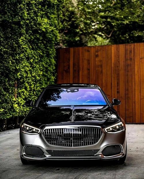 梅赛德斯图片大全大图,梅赛德斯的图片