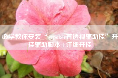 必学教你安装“wepoker有透视辅助挂	”开挂辅助脚本+详细开挂