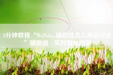 3分钟教程“WePoker辅助挂怎么用最安全”辅助器 - 实时智能回复