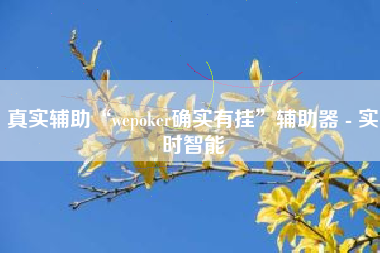 真实辅助“wepoker确实有挂”辅助器 - 实时智能