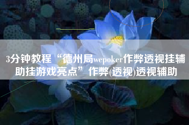 3分钟教程“德州局wepoker作弊透视挂辅助挂游戏亮点	”作弊(透视)透视辅助