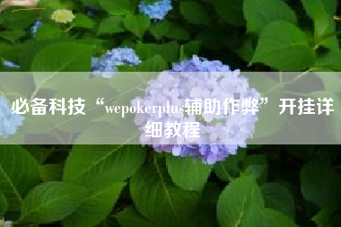 必备科技“wepokerplus辅助作弊”开挂详细教程