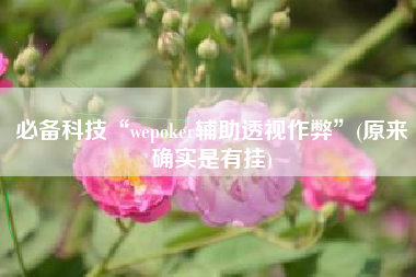 必备科技“wepoker辅助透视作弊”(原来确实是有挂) 必备科技“wepoker辅助透视作弊”(原来确实是有挂)
