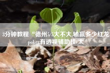 3分钟教程“德州5/5大不大,输赢多少红龙poker有透视辅助挂(太