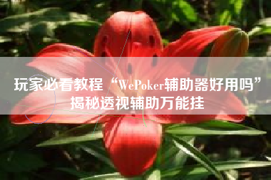 玩家必看教程“WePoker辅助器好用吗	”揭秘透视辅助万能挂