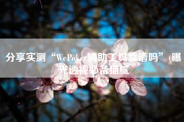 分享实测“WePoker辅助工具靠谱吗”(曝光透视必备猫腻
