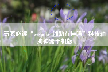 玩家必读“we-poker辅助有挂吗”科技辅助神器手机版