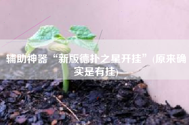 辅助神器“新版德扑之星开挂”(原来确实是有挂)