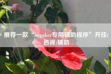 推荐一款“wepoker专用辅助程序”开挂(透视)辅助