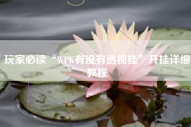 玩家必读“WPK有没有透视挂”开挂详细教程