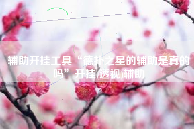 辅助开挂工具“德扑之星的辅助是真的吗”开挂(透视)辅助