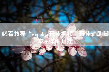 必看教程“wepoker开挂视频”开挂辅助脚本+详细开挂
