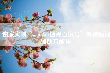 独家实测“wepoker透视百家号”揭秘透视辅助万能挂