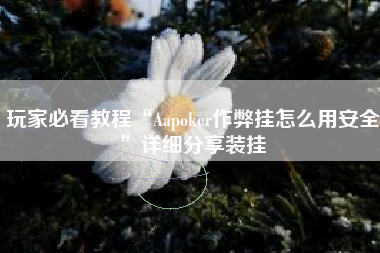 玩家必看教程“Aapoker作弊挂怎么用安全”详细分享装挂