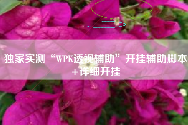 独家实测“WPK透视辅助”开挂辅助脚本+详细开挂