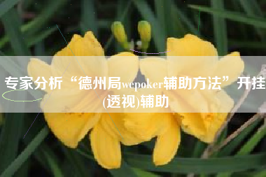 专家分析“德州局wepoker辅助方法	”开挂(透视)辅助