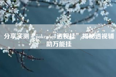 分享实测“pokernow透视挂”揭秘透视辅助万能挂