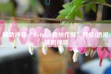 辅助神器“WePoker德州作弊	”开挂(透视)辅助神器
