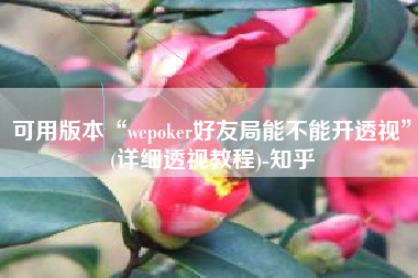 可用版本“wepoker好友局能不能开透视”(详细透视教程)-知乎