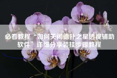 必看教程“如何关闭德扑之星透视辅助软件”详细分享装挂步骤教程