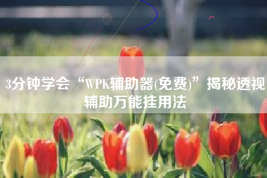 3分钟学会“WPK辅助器(免费)	”揭秘透视辅助万能挂用法