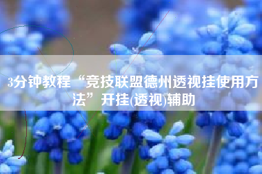 3分钟教程“竞技联盟德州透视挂使用方法”开挂(透视)辅助