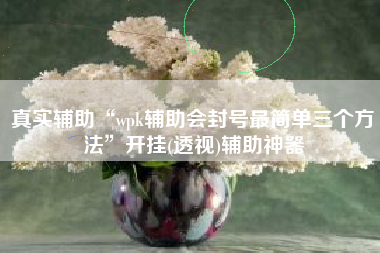 真实辅助“wpk辅助会封号最简单三个方法”开挂(透视)辅助神器
