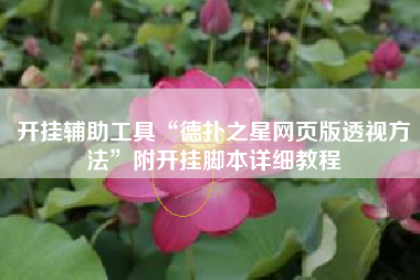 开挂辅助工具“德扑之星网页版透视方法	”附开挂脚本详细教程