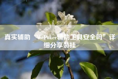 真实辅助“WePoker辅助工具安全吗”详细分享装挂