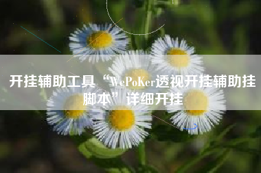 开挂辅助工具“WePoKer透视开挂辅助挂脚本”详细开挂