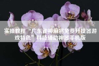 实操教程“广东雀神麻将免费开挂器游戏特色”科技辅助神器手机版