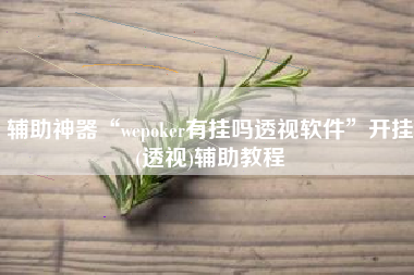 辅助神器“wepoker有挂吗透视软件”开挂(透视)辅助教程