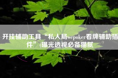 开挂辅助工具“私人局wepoker看牌辅助插件”(曝光透视必备猫腻