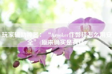 玩家辅助神器：“Aapoker作弊挂怎么用安全”(原来确实是有挂)