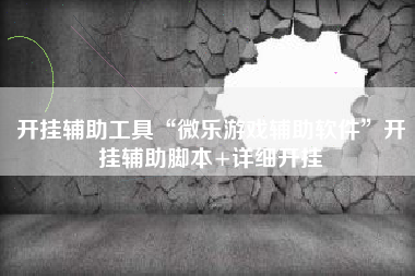 开挂辅助工具“微乐游戏辅助软件”开挂辅助脚本+详细开挂