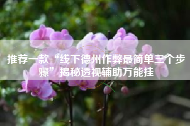 推荐一款“线下德州作弊最简单三个步骤	”揭秘透视辅助万能挂