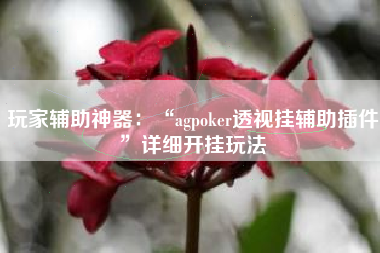 玩家辅助神器：“agpoker透视挂辅助插件”详细开挂玩法