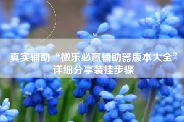 真实辅助“微乐必赢辅助器版本大全	”详细分享装挂步骤