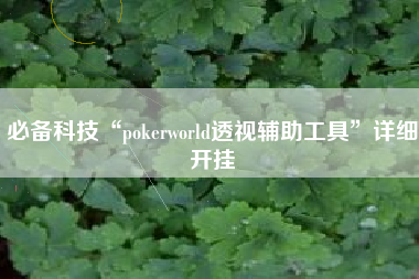 必备科技“pokerworld透视辅助工具”详细开挂