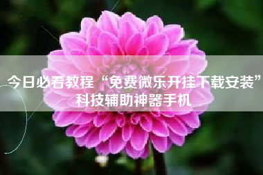 今日必看教程“免费微乐开挂下载安装”科技辅助神器手机
