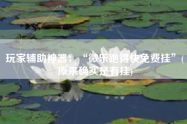 玩家辅助神器：“微乐跑得快免费挂	”(原来确实是有挂)