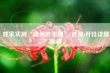 独家实测“德州胜率图	”(透视)开挂详细教程