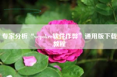 专家分析“wepoker软件作弊”通用版下载教程