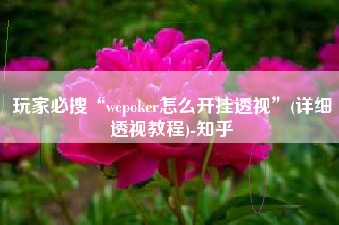 玩家必搜“wepoker怎么开挂透视”(详细透视教程)-知乎