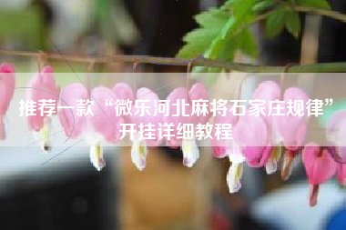 推荐一款“微乐河北麻将石家庄规律”开挂详细教程