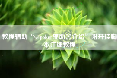 教程辅助“wepoker辅助器介绍	”附开挂脚本详细教程