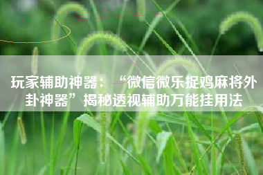 玩家辅助神器：“微信微乐捉鸡麻将外卦神器”揭秘透视辅助万能挂用法